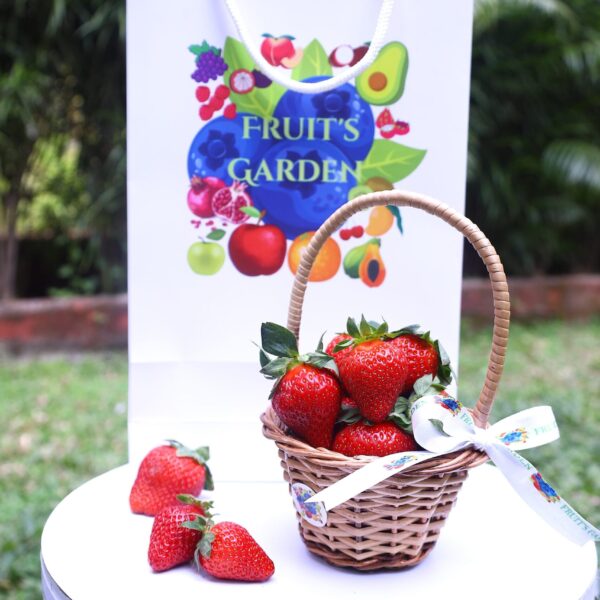 Mahabaleshwar Strawberry - Fresh Seasonal Fruit | Fruiit Garden