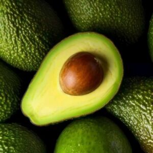 Australian Avocado
