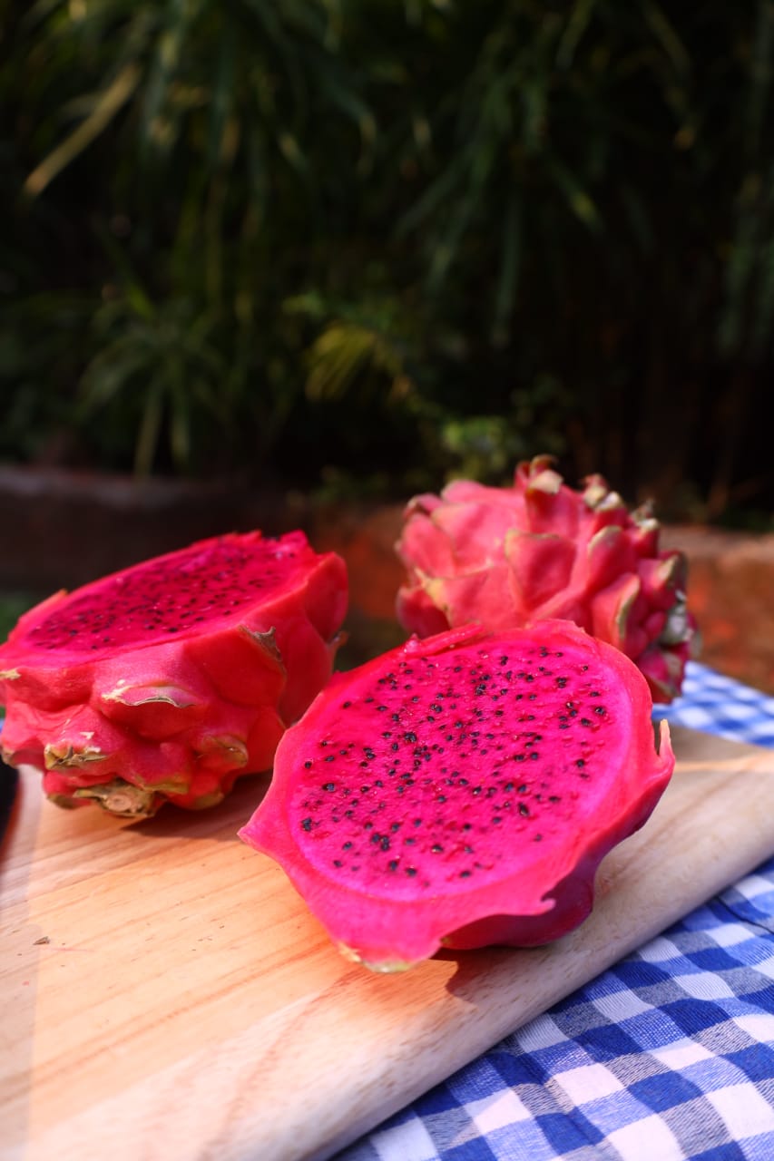 img 20260226 wa0009(1)