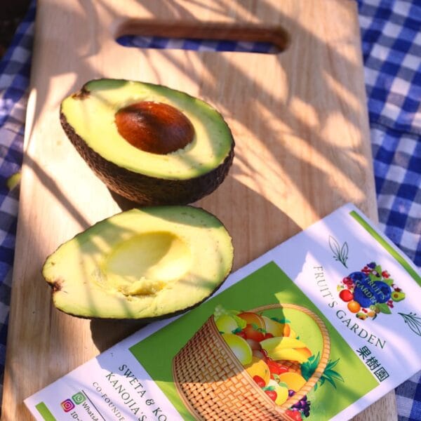 imported avacado fruiit garden