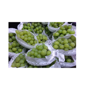 muscat green grapes