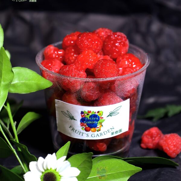 Poland Raspberries - Fresh Imported Fruit | Fruiit Garden