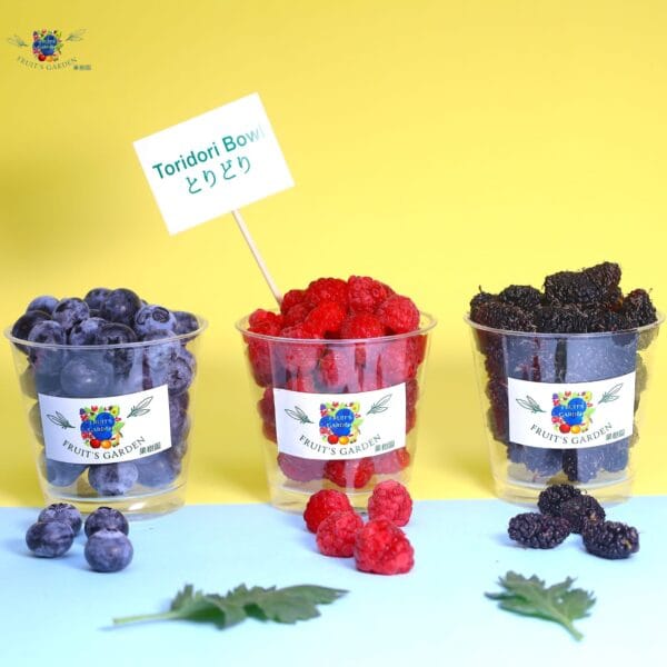 Tori Dori Bowls with Blueberries, Raspberries and Mulberries | Fruiit Garden