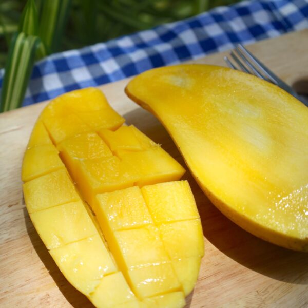 Fresh Thai Mango Nam Dok Mai imported from Thailand | Fruiit Garden