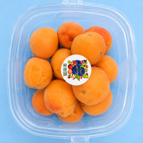 Ladakh Apricot - Fresh Premium Fruit | Fruiit Garden