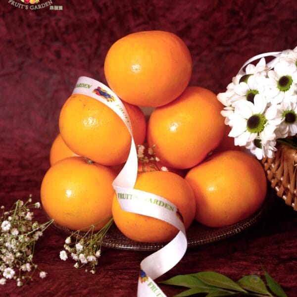 Fresh South African Oranges from Fruiit Garden with sweet juicy imported oranges