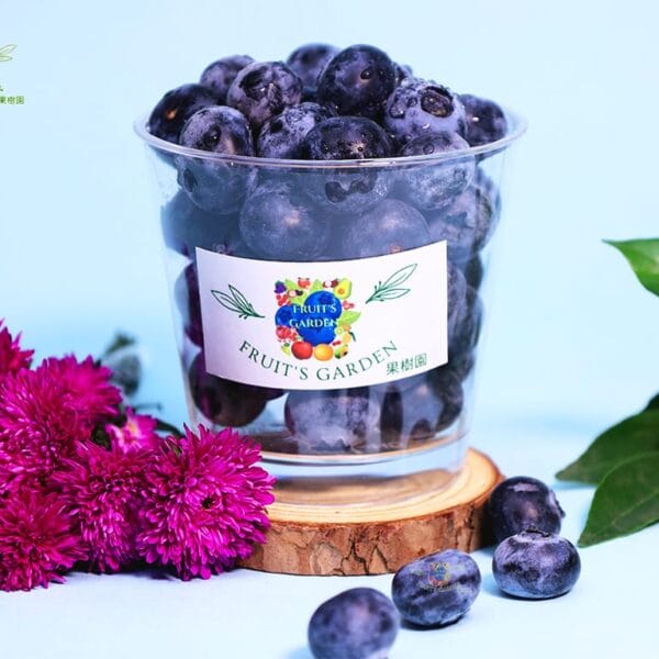 Fresh imported Peru Blueberry by Fruiit Garden rich in antioxidants and vitamin C