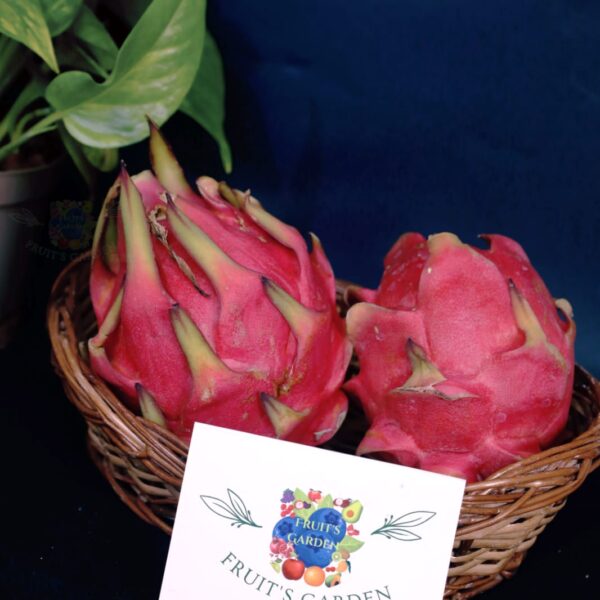 Exotic Red Flesh Dragon Fruit - Fresh Imported Fruit | Fruiit Garden