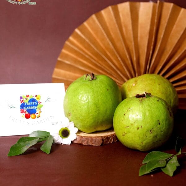 Fresh Thai Guava from Fruiit Garden with crisp sweet imported guavas