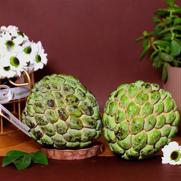 Fresh Jumbo Size Custard Apple from Fruiit Garden with creamy sweet tropical fruit