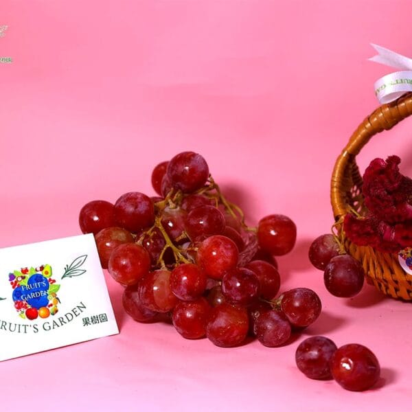 Fresh Chilean Red Globe Grapes from Fruiit Garden with large sweet imported red grapes