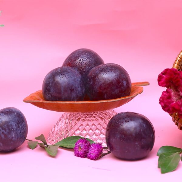 Imported Plums - Fresh Imported Fruit | Fruiit Garden