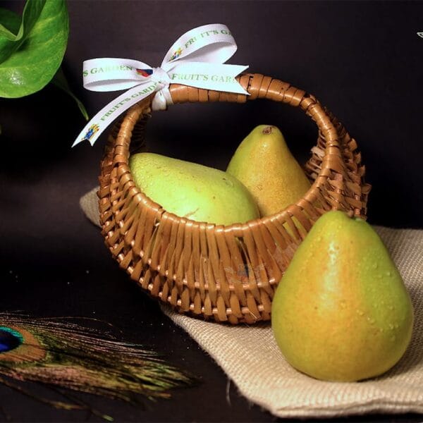 Fresh South African Beauty Pear from Fruiit Garden with sweet juicy imported pears