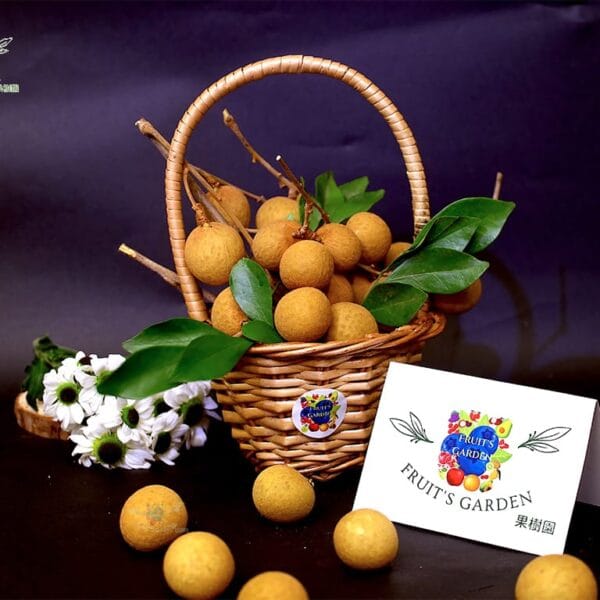 Fresh imported Thai Longan by Fruiit Garden with sweet juicy premium longan fruits