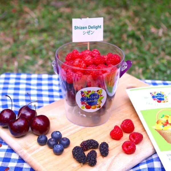 Shizen Delight Mixed Berry Cup with cherries raspberries blueberries and mulberries by Fruiit Garden