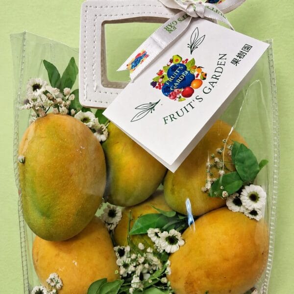 Fresh Alphonso Mango Hamper