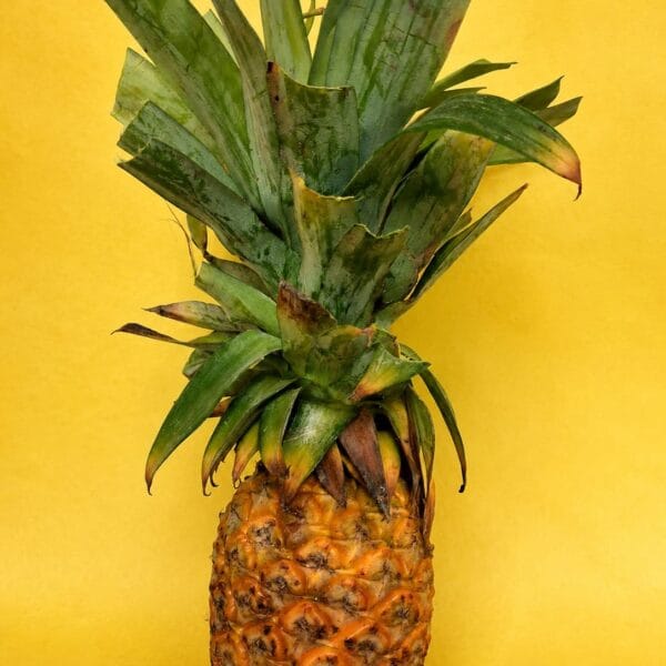 Fresh Nagaland Kew Pineapple