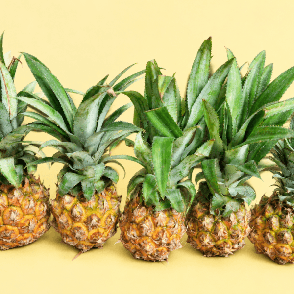 Unpeeled Thai Baby Pineapple