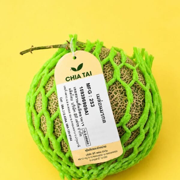 Fresh Japanese Mori San Melon